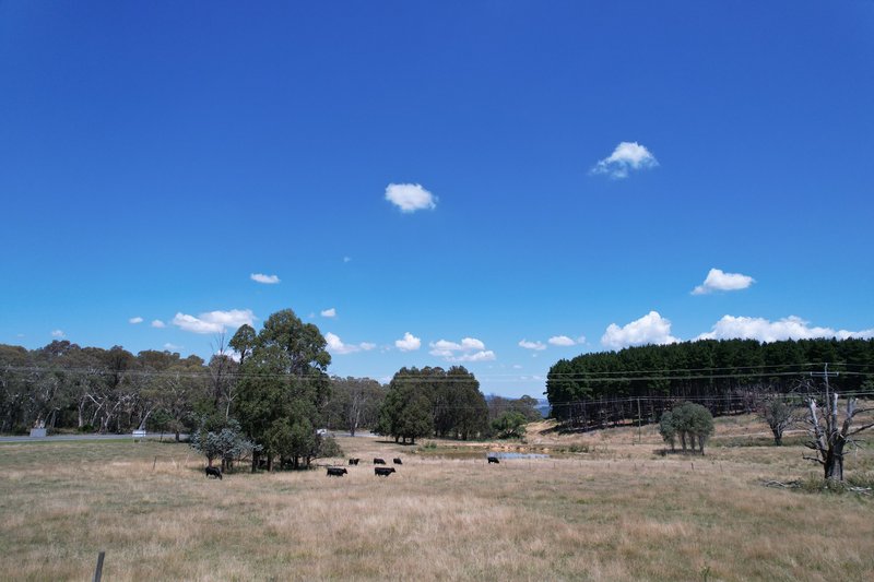 Photo - 5 Courabyra Road, Tumbarumba NSW 2653 - Image 26