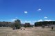 Photo - 5 Courabyra Road, Tumbarumba NSW 2653 - Image 26