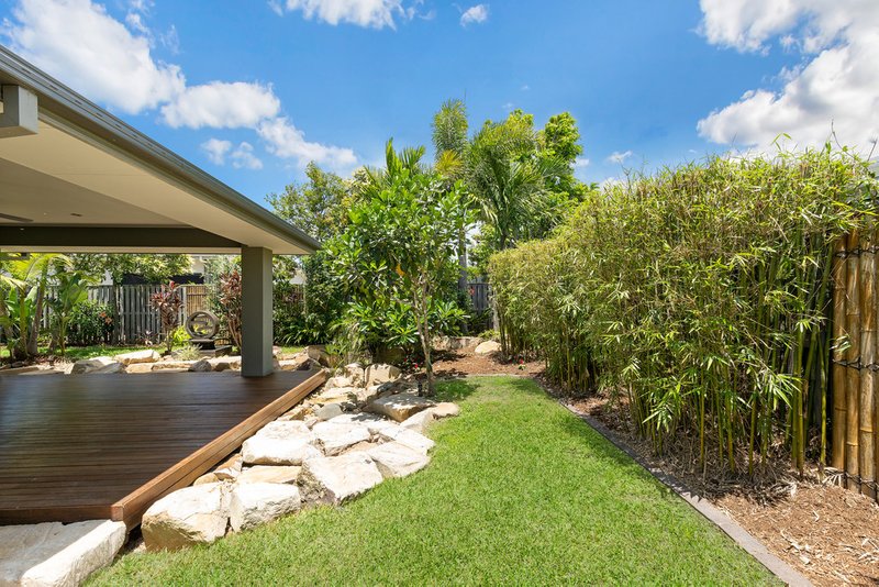 Photo - 5 Daintree Drive, Coomera QLD 4209 - Image 7