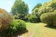 Photo - 5 David Street, Wentworth Falls NSW 2782 - Image 4