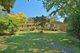 Photo - 5 David Street, Wentworth Falls NSW 2782 - Image 6