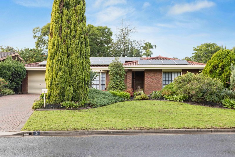 Photo - 5 De Castella Avenue, Wynn Vale SA 5127 - Image 1