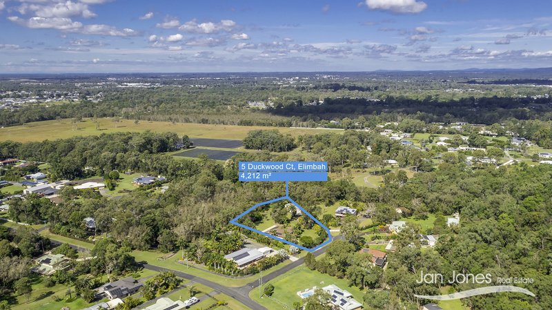 Photo - 5 Duckwood Court, Elimbah QLD 4516 - Image 6