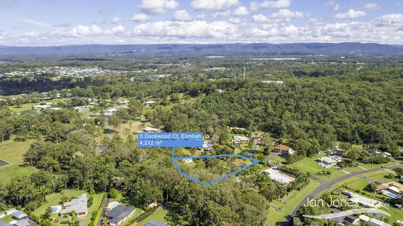 Photo - 5 Duckwood Court, Elimbah QLD 4516 - Image 29