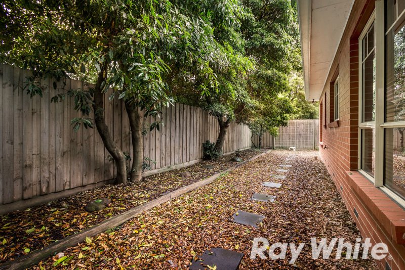 Photo - 5 Duncan Street, Box Hill South VIC 3128 - Image 8