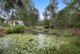 Photo - 5 Elouera Drive, Ninderry QLD 4561 - Image 3