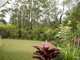 Photo - 5 Glen Abby Avenue, Peregian Springs QLD 4573 - Image 10