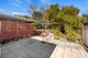 Photo - 5 Grey Gum Close, South Grafton NSW 2460 - Image 18