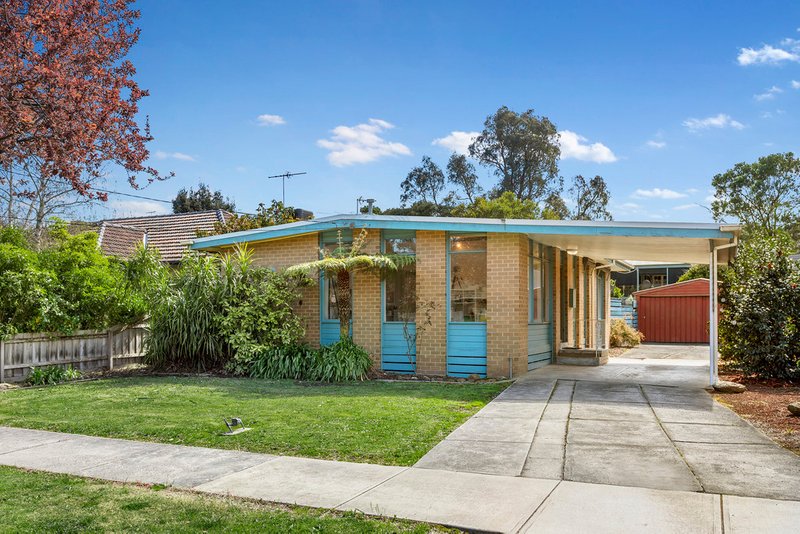 5 Halsey Street, Box Hill South VIC 3128