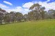 Photo - 5 Hat Hill Lane, Meadow Flat NSW 2795 - Image 3