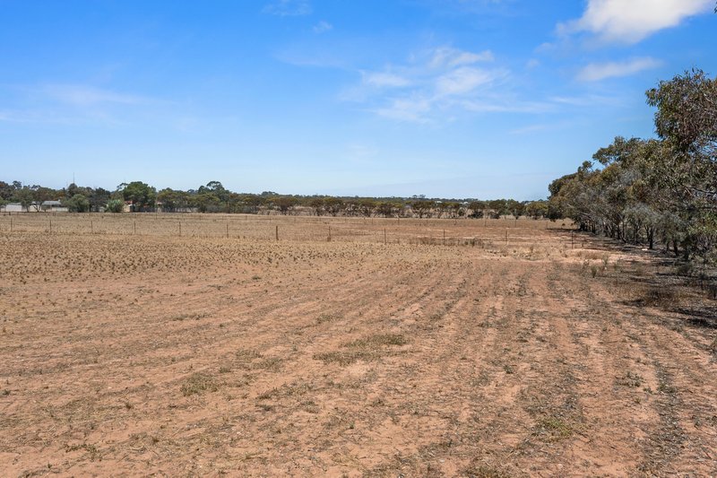 Photo - 5 Haylock Road, North Moonta SA 5558 - Image 23