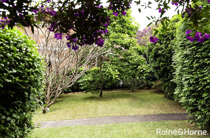 Photo - 5 Highland Crescent, Earlwood NSW 2206 - Image 10
