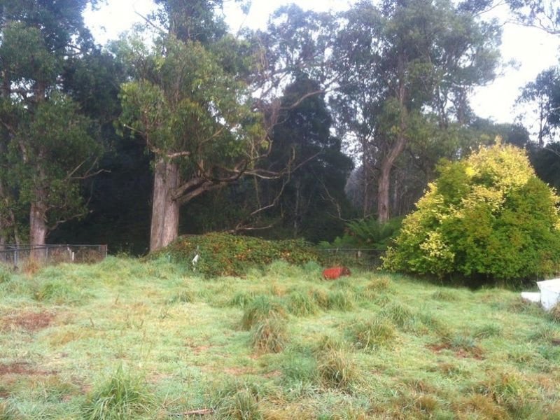 Photo - 5 Hollywood St , Rosebery TAS 7470 - Image 10