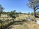 Photo - 5 Hotel Lane, Coolatai NSW 2402 - Image 17