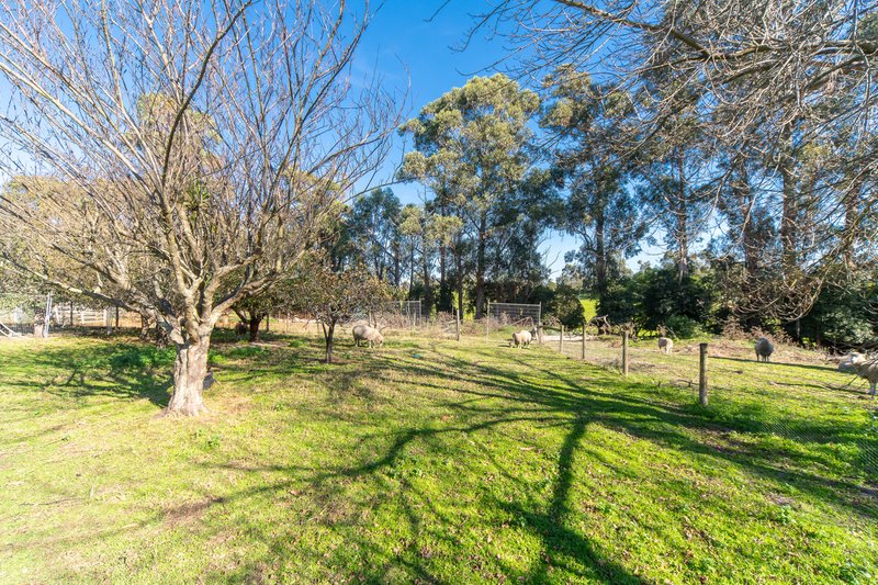 Photo - 5 Kelvin Grove, Langwarrin VIC 3910 - Image 10