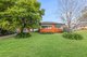 Photo - 5 Kurrajong Avenue, Georges Hall NSW 2198 - Image 2