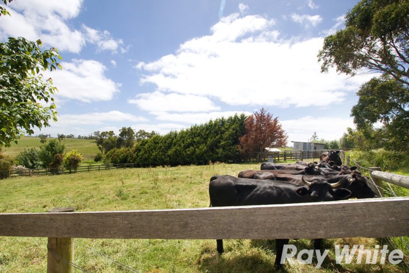 Photo - 5 Lang Lang Poowong Road, Nyora VIC 3987 - Image 19