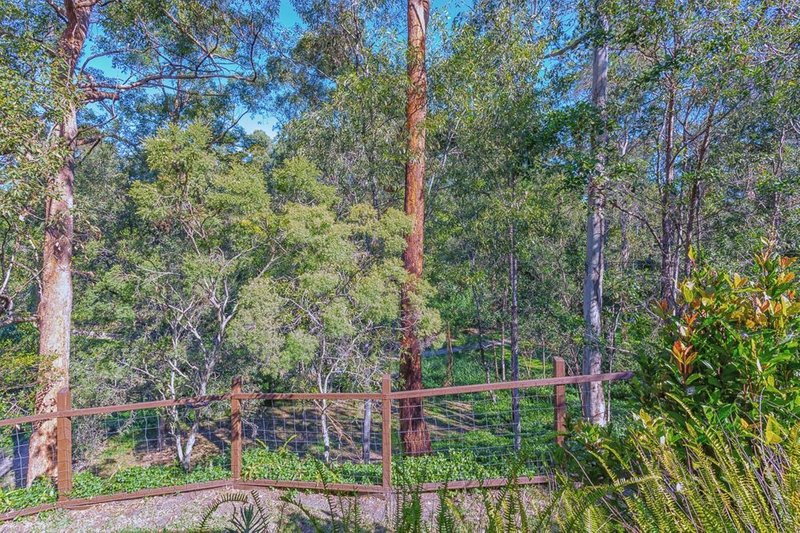 Photo - 5 Leonarda Drive, Arana Hills QLD 4054 - Image 18