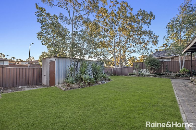 Photo - 5 Lobelia Crescent, Quakers Hill NSW 2763 - Image 11