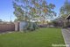 Photo - 5 Lobelia Crescent, Quakers Hill NSW 2763 - Image 11