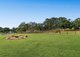Photo - 5 Luca Court, Willow Vale QLD 4209 - Image 24