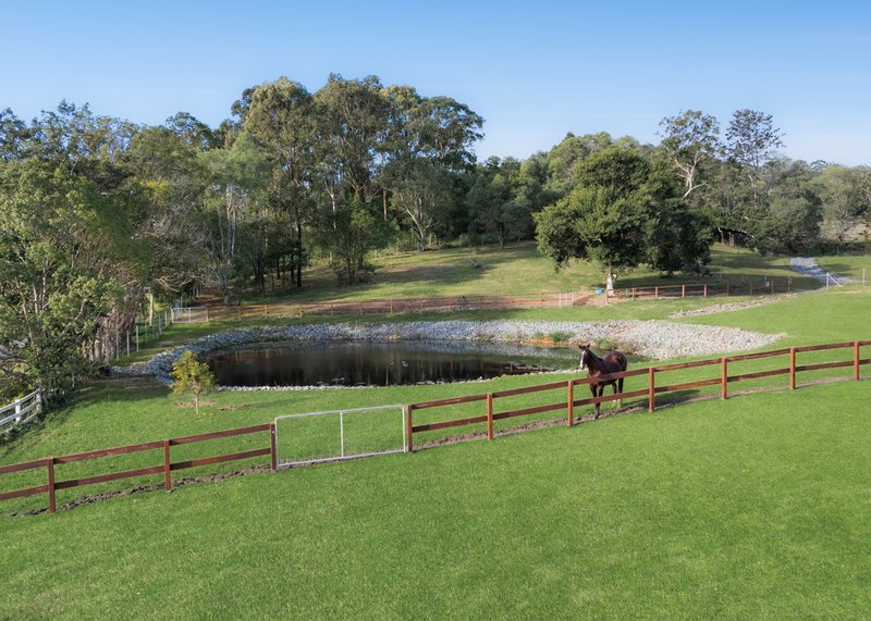 Photo - 5 Luca Court, Willow Vale QLD 4209 - Image 25