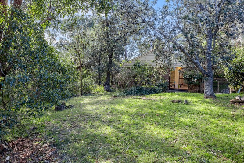 Photo - 5 Lurline Street, Wentworth Falls NSW 2782 - Image 16