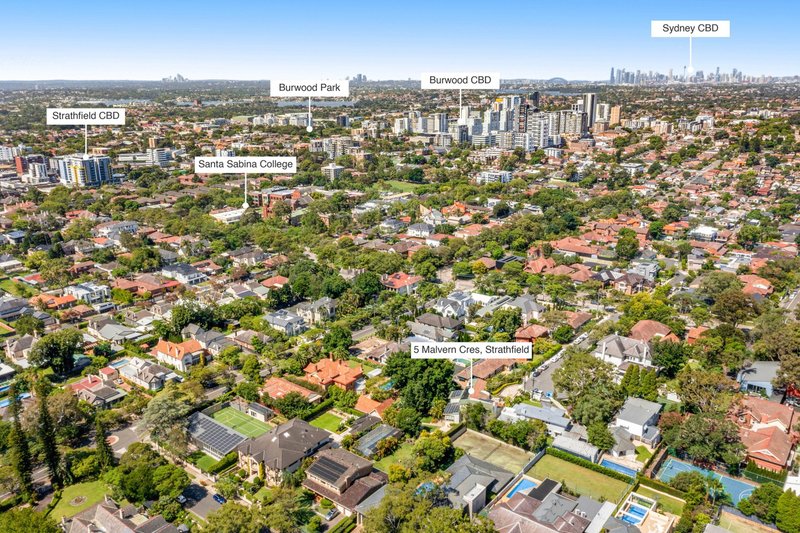 Photo - 5 Malvern Crescent, Strathfield NSW 2135 - Image 23