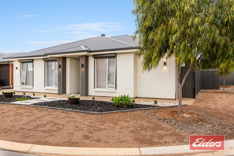 Photo - 5 Martha Way, Blakeview SA 5114 - Image 3