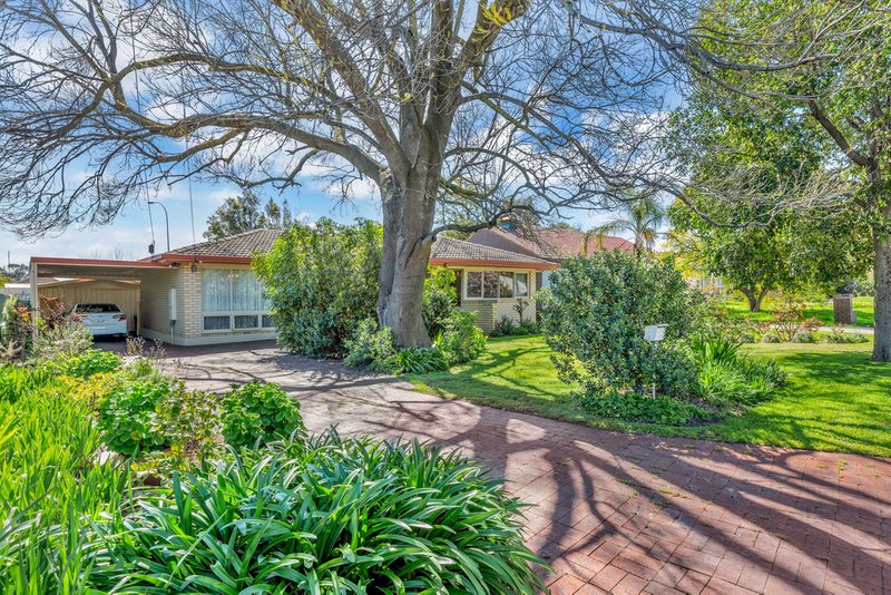 5 Mary Crescent, Newton SA 5074