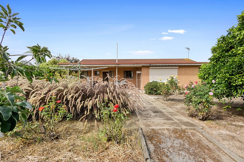 Photo - 5 Michelmore Street, Yorketown SA 5576 - Image 10