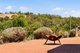 Photo - 5 Mottram Street, Bridgetown WA 6255 - Image 7