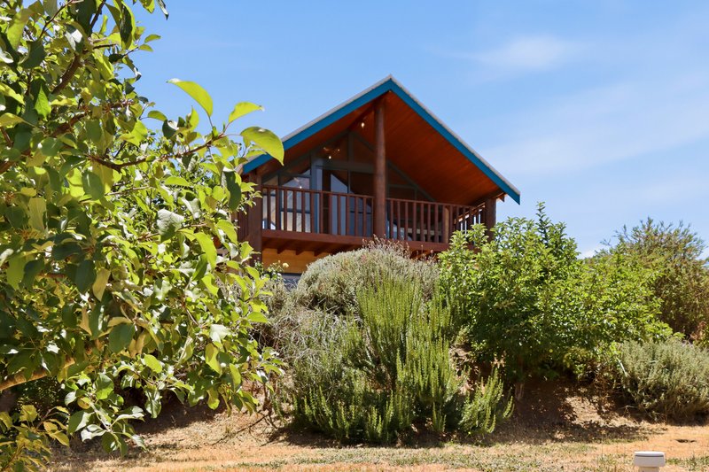 Photo - 5 Mottram Street, Bridgetown WA 6255 - Image 24