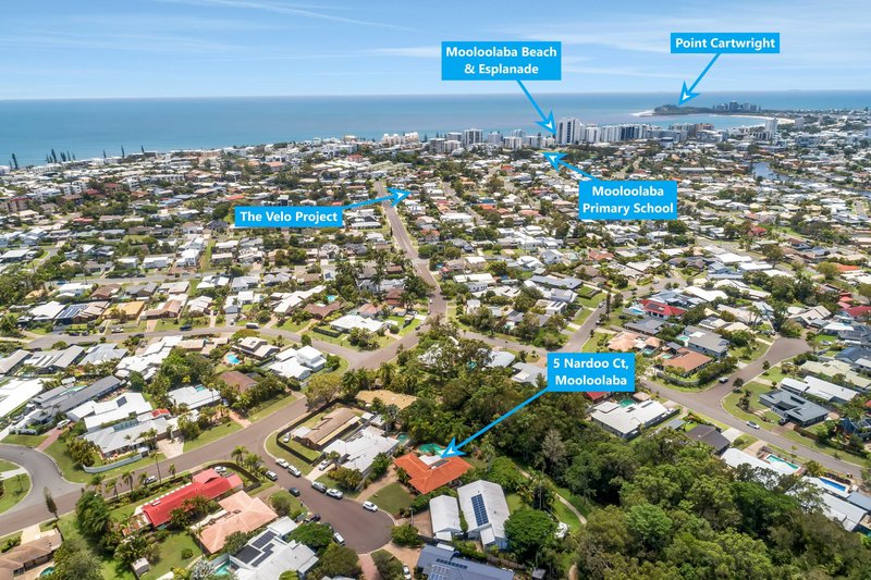 5 Nardoo Court, Mooloolaba QLD 4557