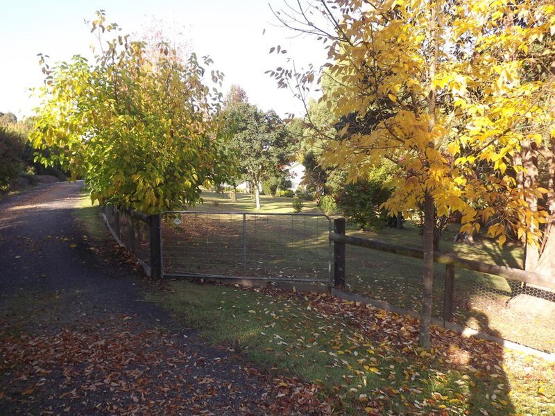Photo - 5 Old Mill Road, Cabbage Tree Creek VIC 3889 - Image 2