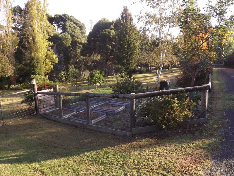 Photo - 5 Old Mill Road, Cabbage Tree Creek VIC 3889 - Image 3
