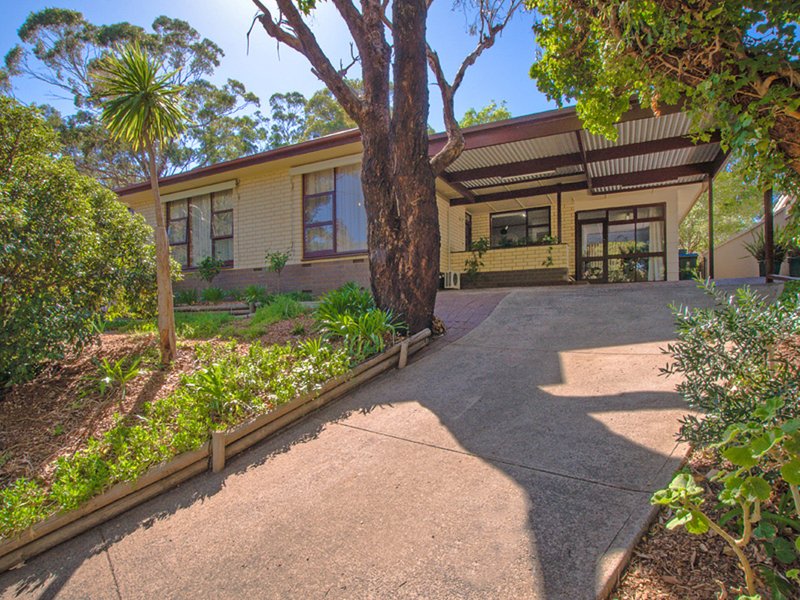 5 Orchard Grove, Hawthorndene SA 5051