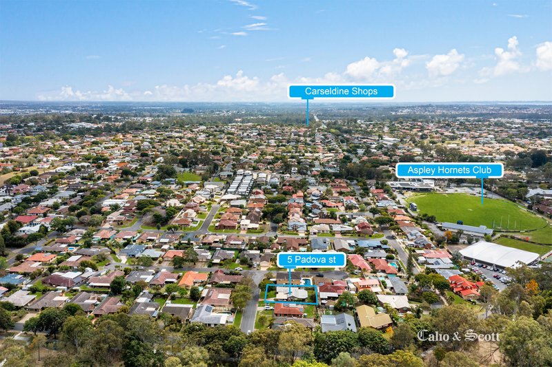 Photo - 5 Padova Street, Carseldine QLD 4034 - Image 2