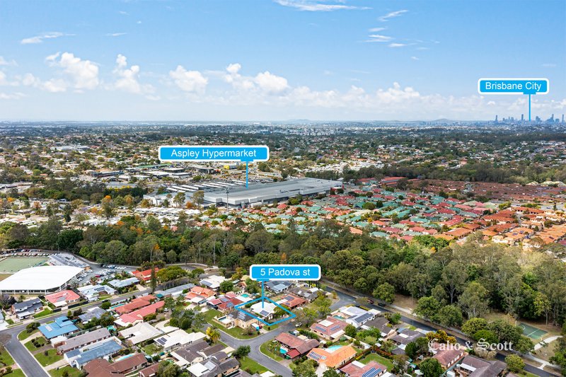 Photo - 5 Padova Street, Carseldine QLD 4034 - Image 3