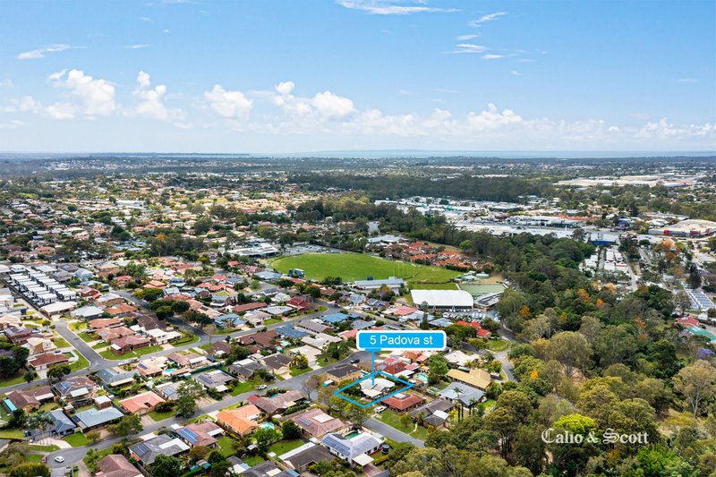 Photo - 5 Padova Street, Carseldine QLD 4034 - Image 20