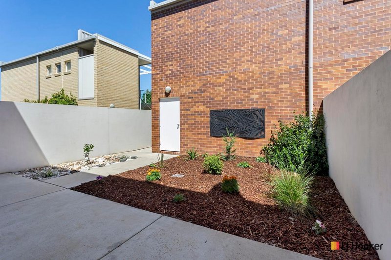 Photo - 5 Paget Street, Bruce ACT 2617 - Image 11