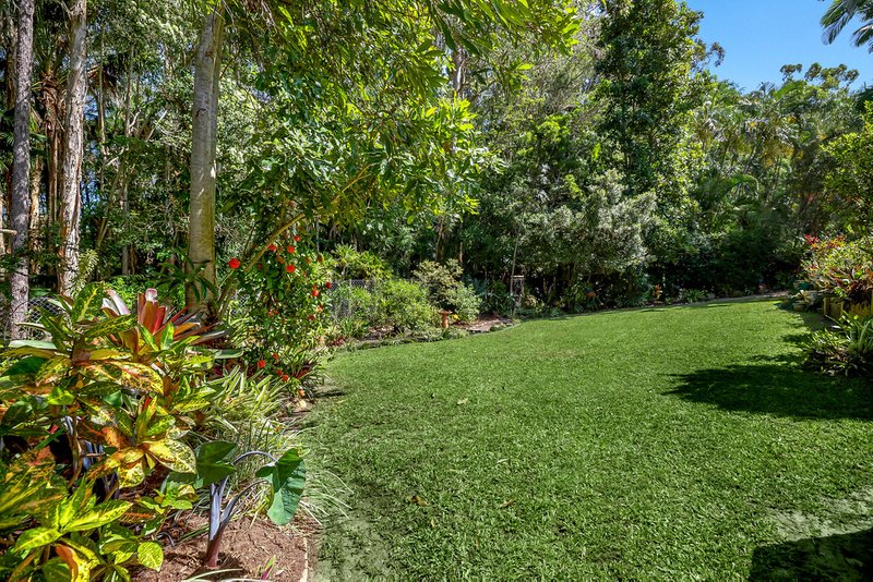 Photo - 5 Palm Grove Crescent, Tewantin QLD 4565 - Image 6