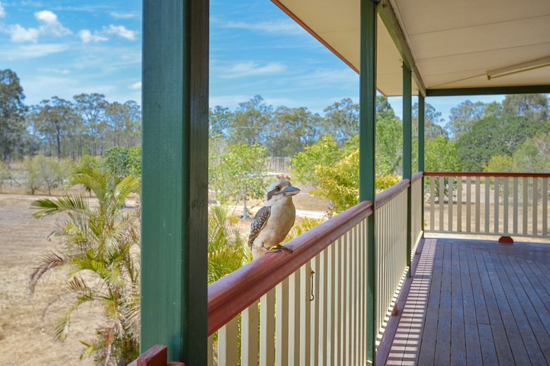 Photo - 5 Pams Court, Beecher QLD 4680 - Image 17