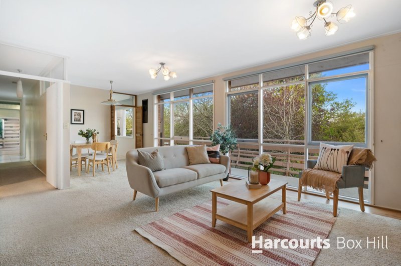 Photo - 5 Panfield Avenue, Ringwood VIC 3134 - Image 4