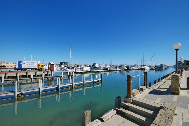 Photo - 5 Penzance Terrace, Mindarie WA 6030 - Image 10