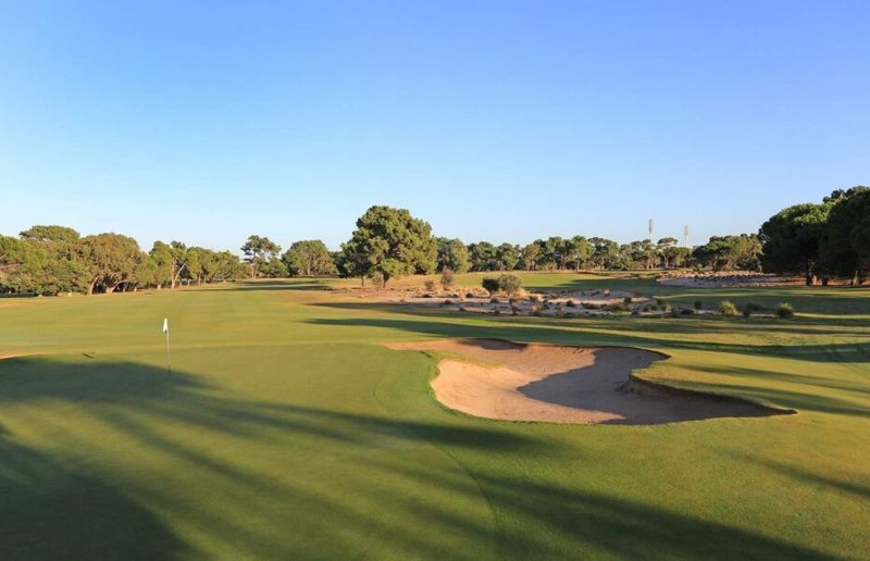 Photo - 5 Pine Lodge Crescent, Grange SA 5022 - Image 26