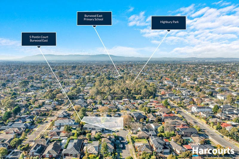 Photo - 5 Pontin Court, Burwood East VIC 3151 - Image 17