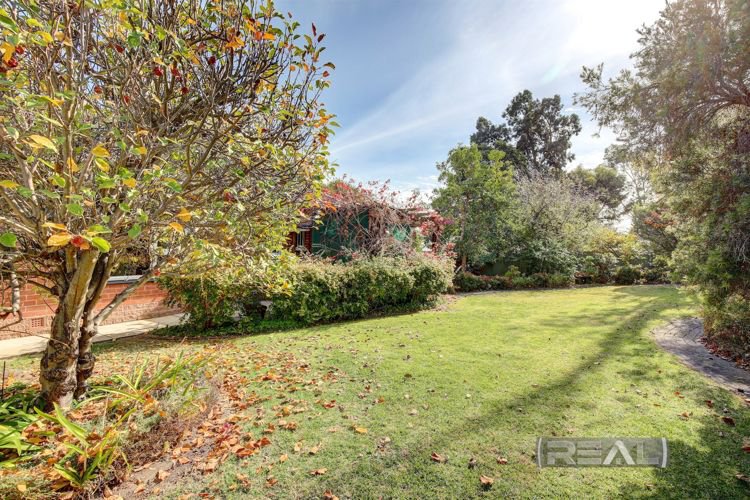 Photo - 5 Porter Terrace, Rostrevor SA 5073 - Image 15