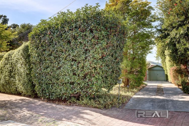 Photo - 5 Porter Terrace, Rostrevor SA 5073 - Image 21