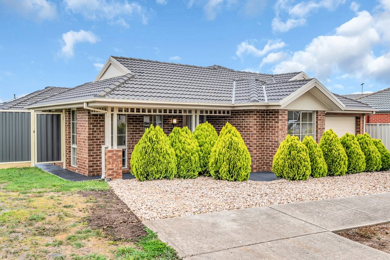 Photo - 5 Pymble Gardens, Craigieburn VIC 3064 - Image 4